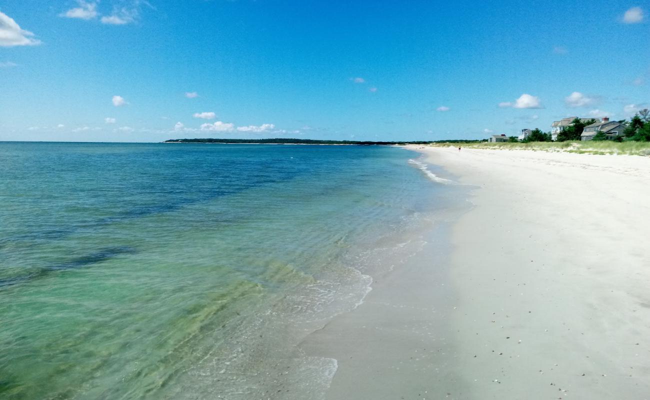 Seagull Beach'in fotoğrafı açık bej kum yüzey ile