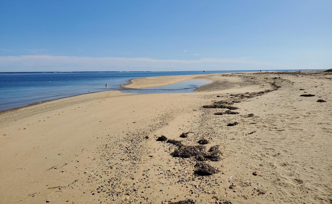 Long Point beach'in fotoğrafı parlak kum yüzey ile