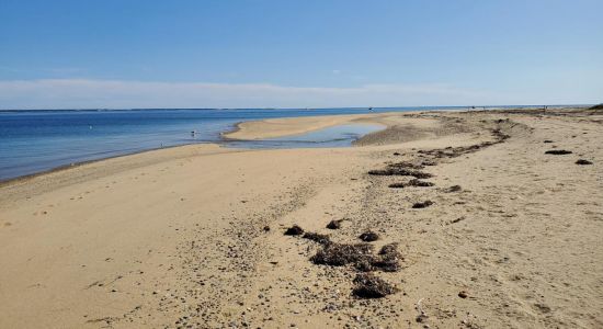 Long Point beach