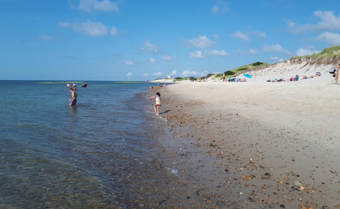 Chapin Memorial beach'in fotoğrafı parlak kum yüzey ile