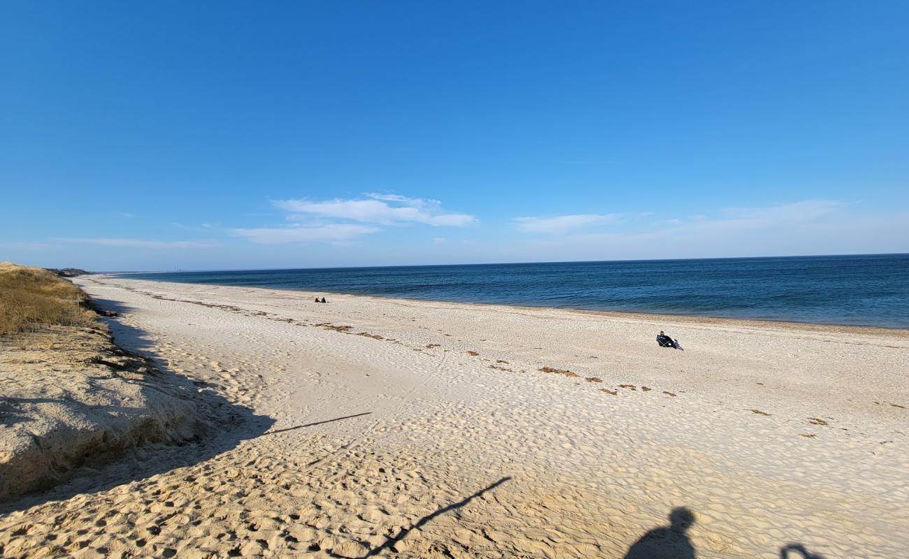 Sandy Neck Plajı'in fotoğrafı parlak kum yüzey ile