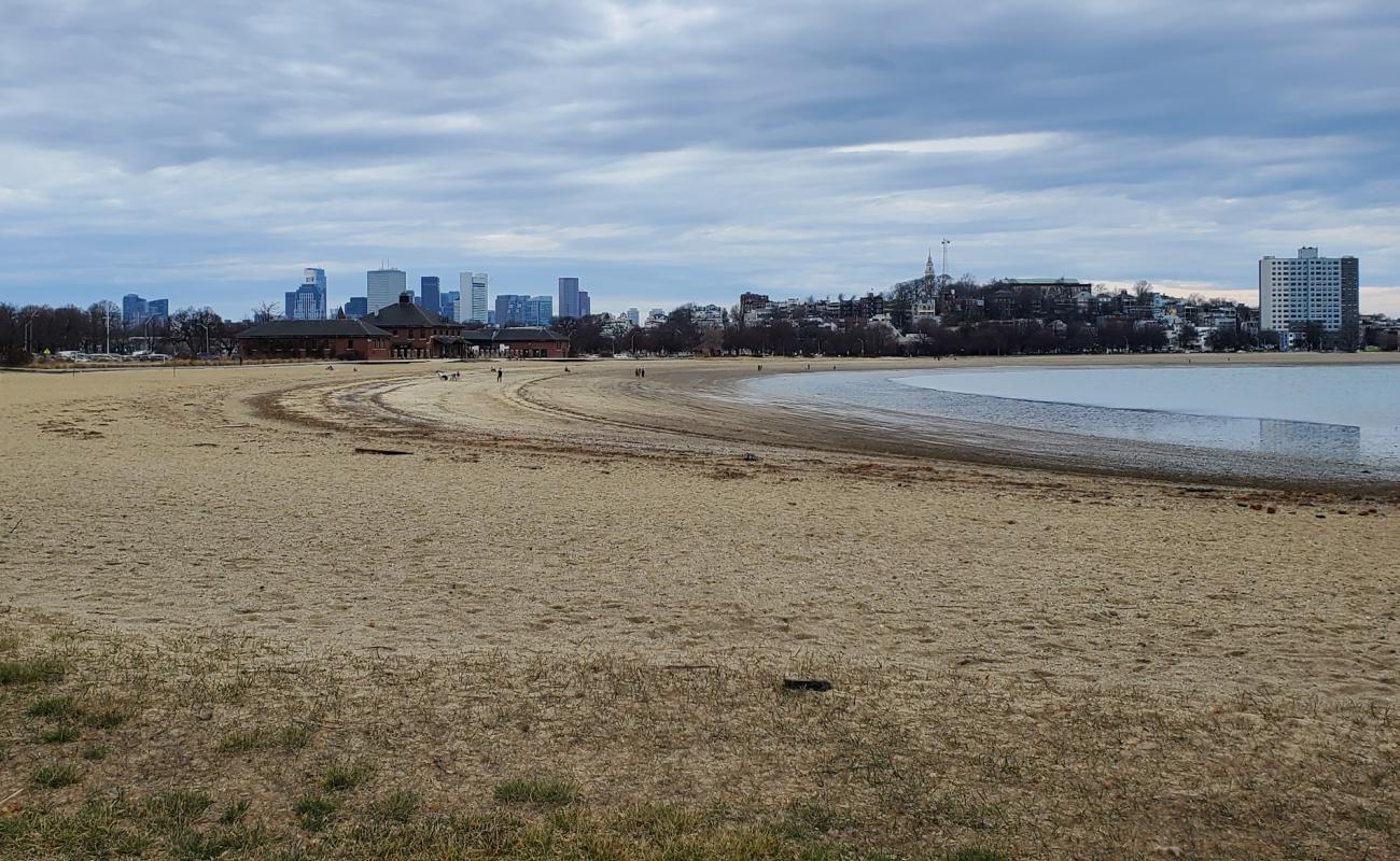 Savin Hill Beach'in fotoğrafı açık bej kum yüzey ile