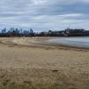 Savin Hill Beach