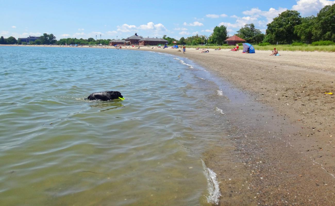 Carson beach'in fotoğrafı parlak kum yüzey ile