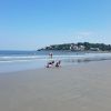 Nahant Short beach