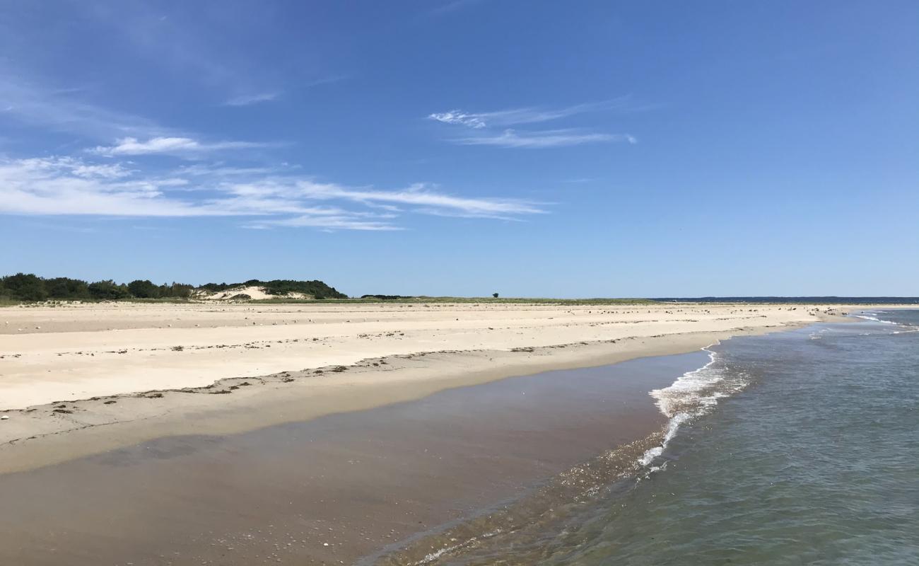Sandy Point beach'in fotoğrafı açık bej kum yüzey ile