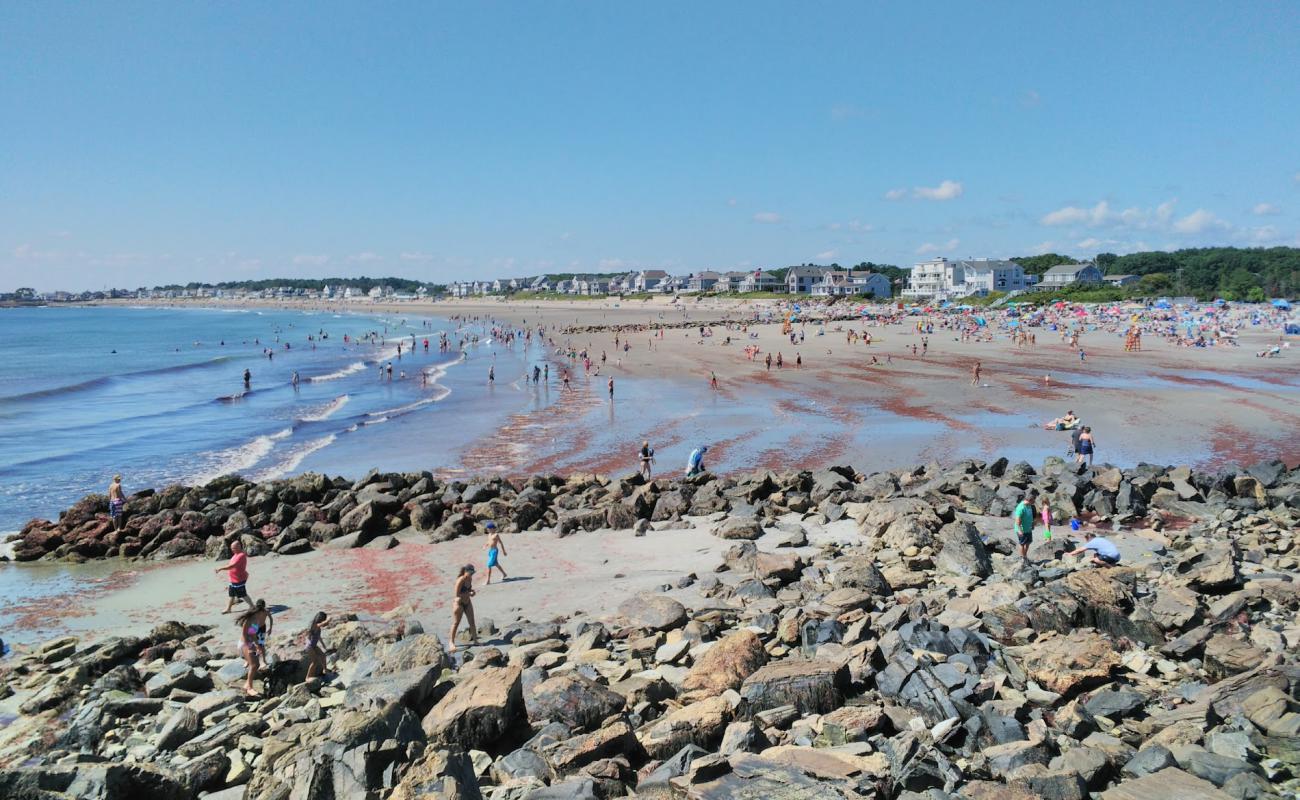 Wallis Sands beach'in fotoğrafı açık bej kum yüzey ile