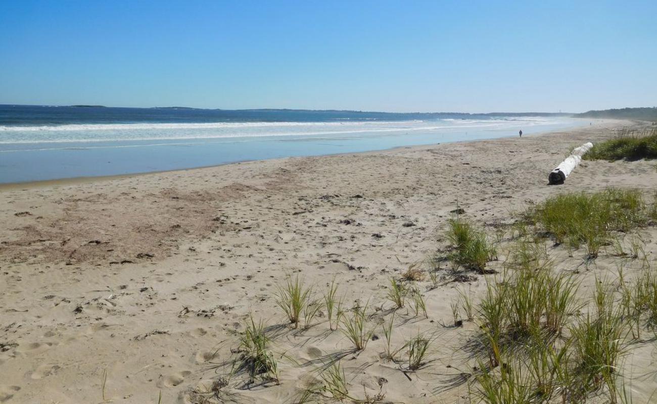 Bayview beach'in fotoğrafı parlak kum yüzey ile