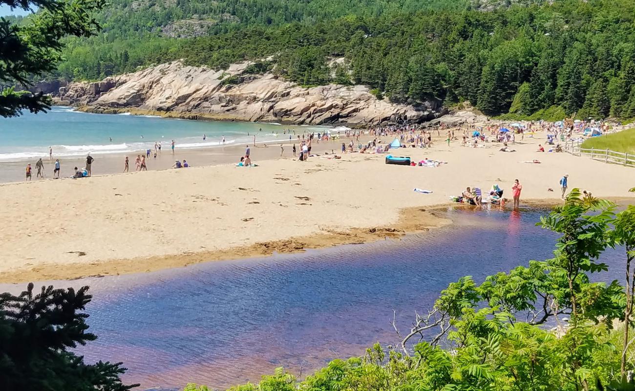 Kumlu plaj'in fotoğrafı parlak kum yüzey ile