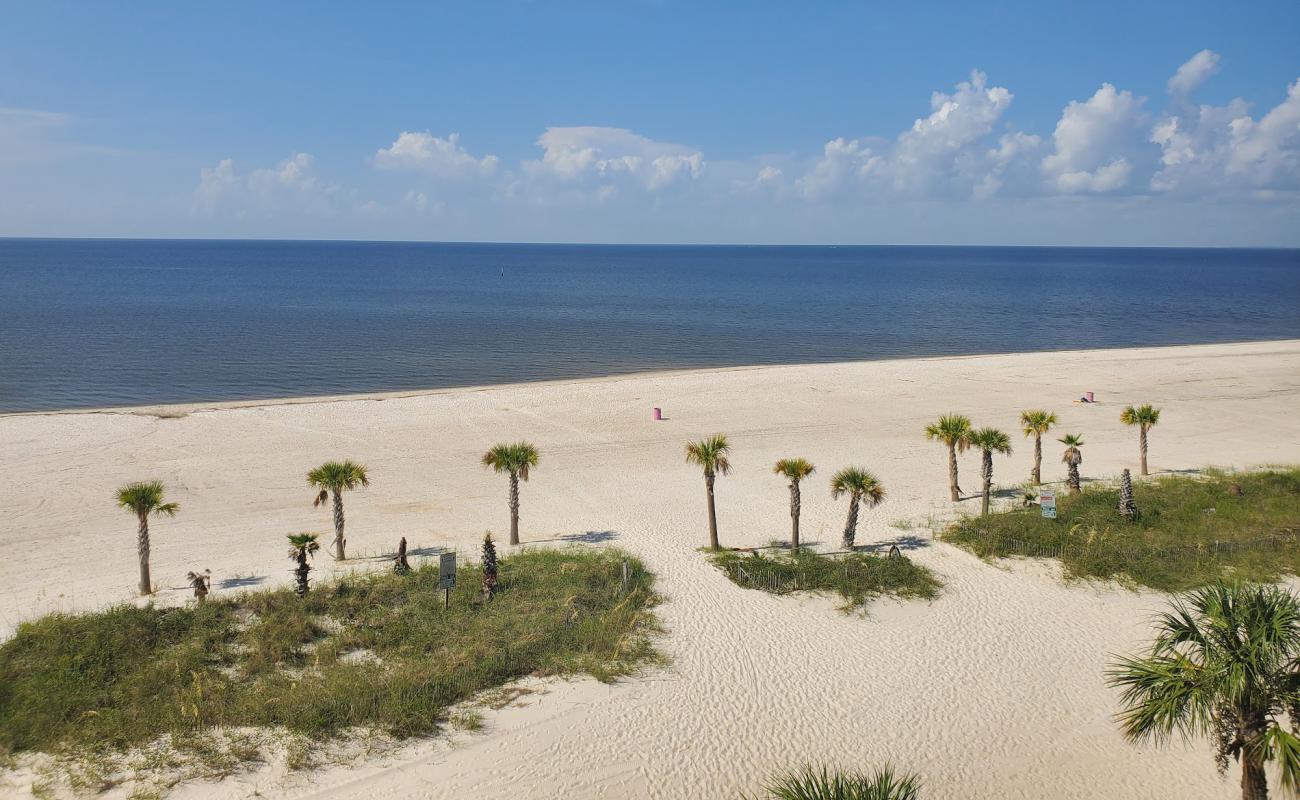 Henderson Point beach'in fotoğrafı beyaz ince kum yüzey ile