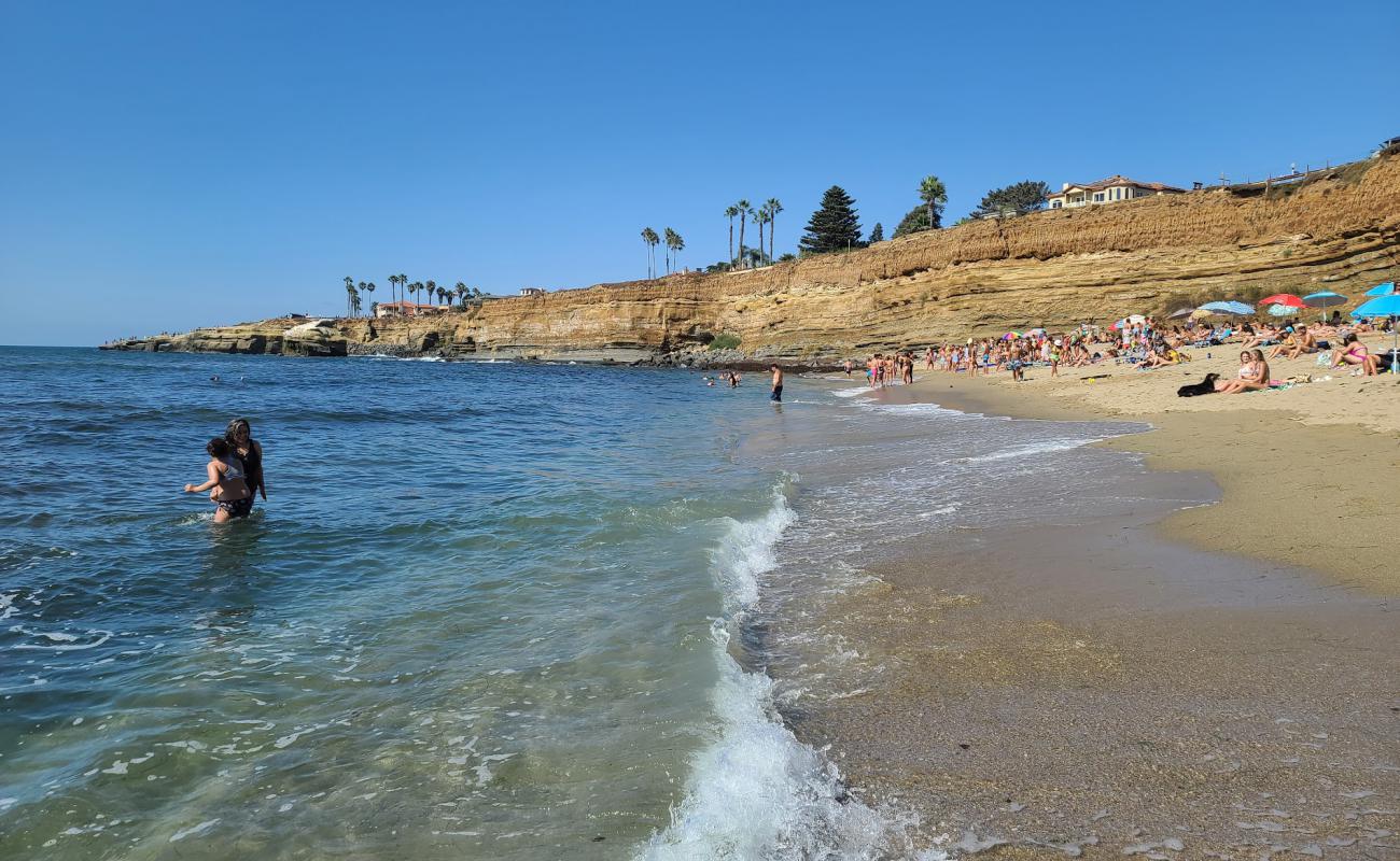 Sunset Cliffs beach'in fotoğrafı parlak kum yüzey ile