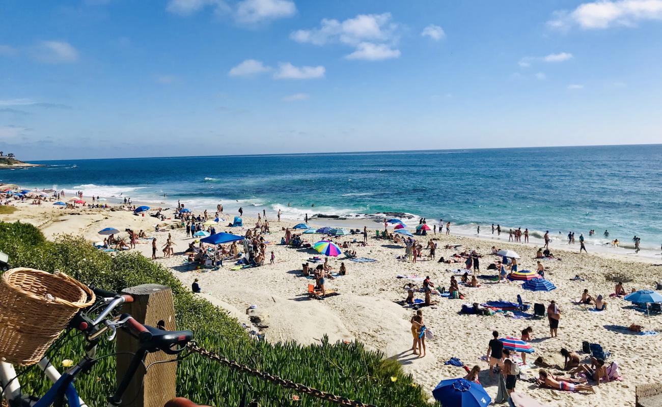 Windansea beach'in fotoğrafı parlak ince kum yüzey ile