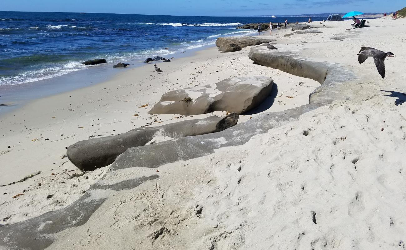 La Jolla Tide Pools'in fotoğrafı parlak kum ve kayalar yüzey ile