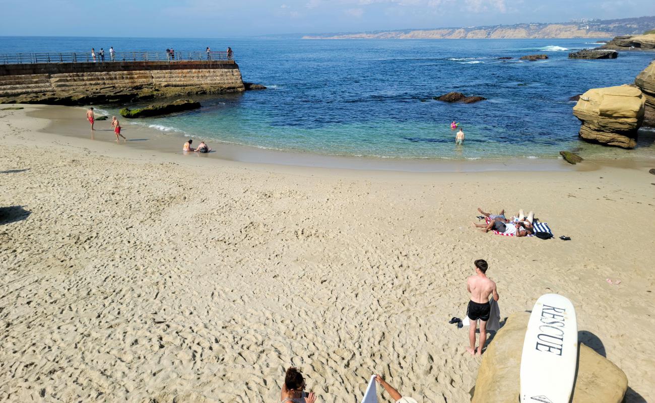 Children's Pool La Jolla'in fotoğrafı parlak kum yüzey ile