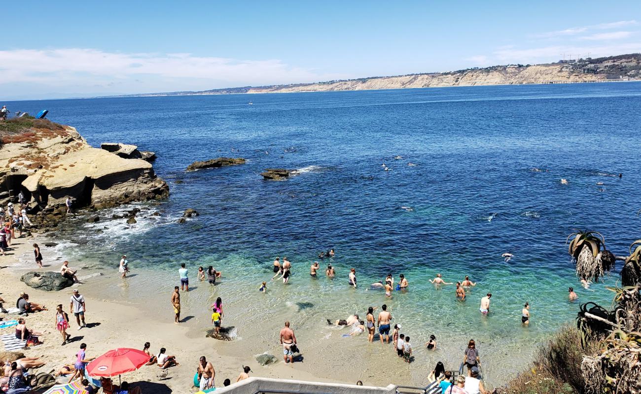 La Jolla Cove'in fotoğrafı parlak kum yüzey ile