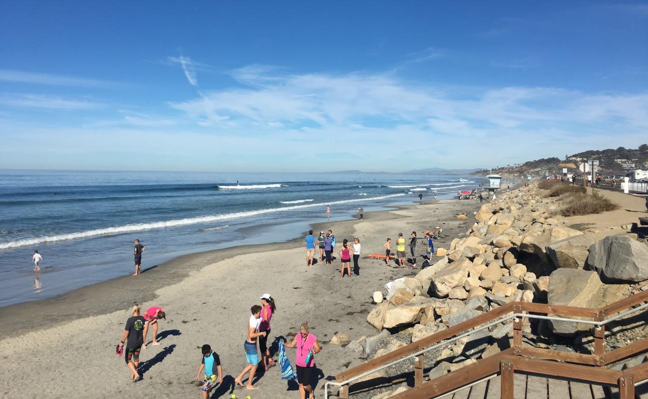 Torrey Pines beach II'in fotoğrafı açık bej kum yüzey ile