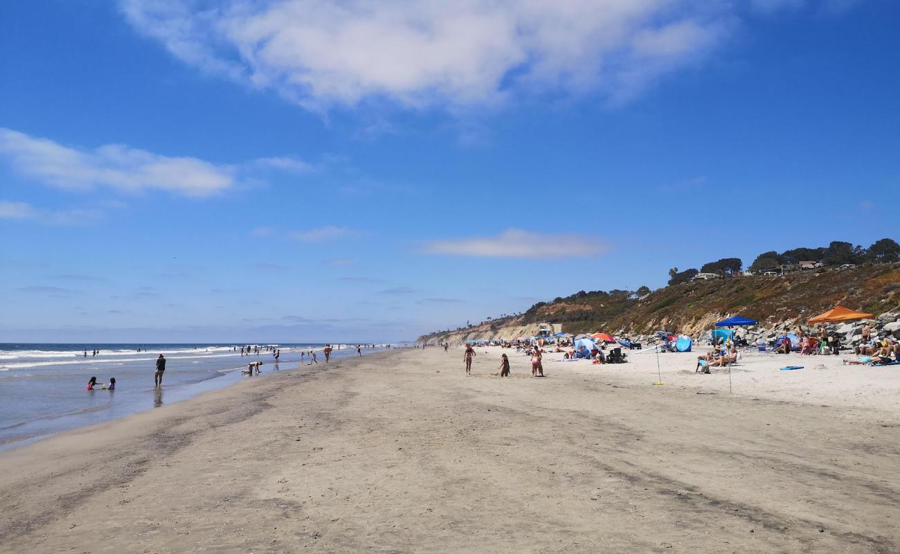 Torrey Pines beach'in fotoğrafı parlak kum yüzey ile