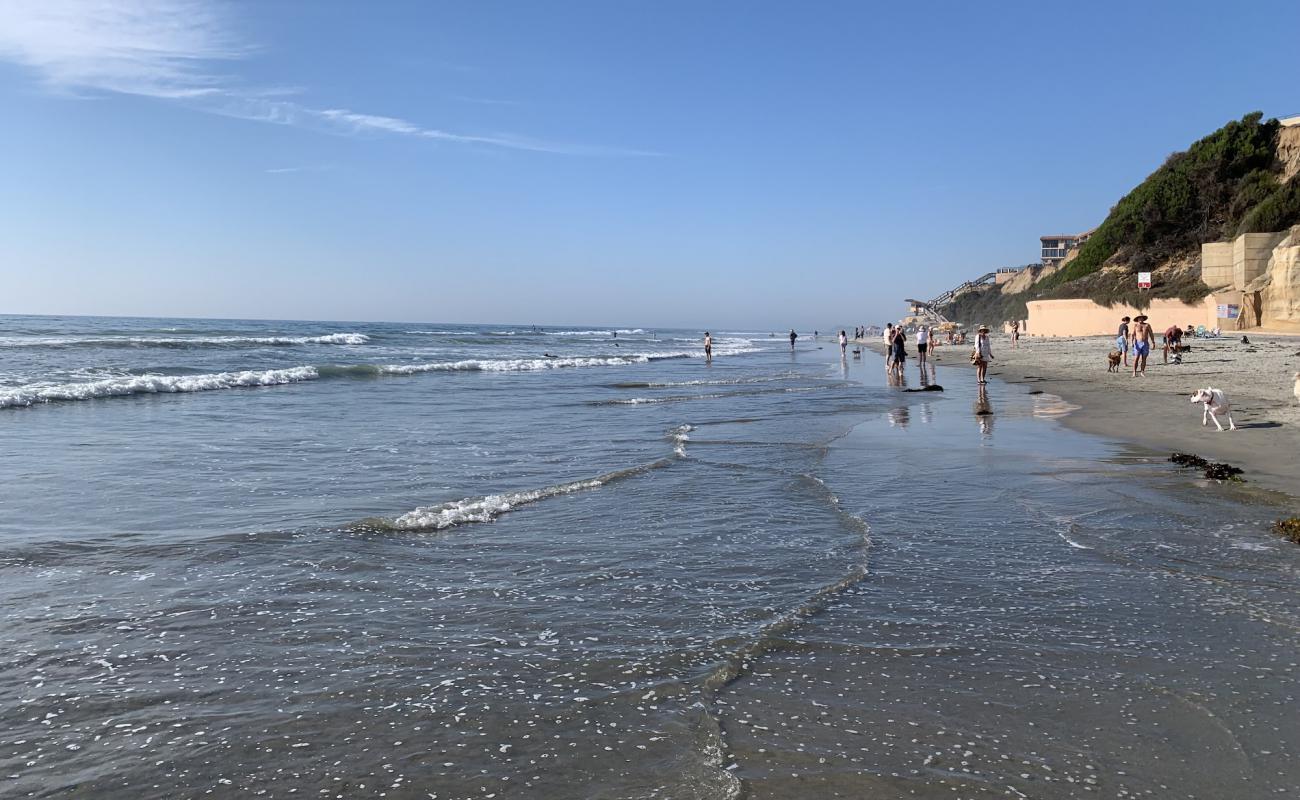 Del Mar Dog beach'in fotoğrafı açık bej kum yüzey ile