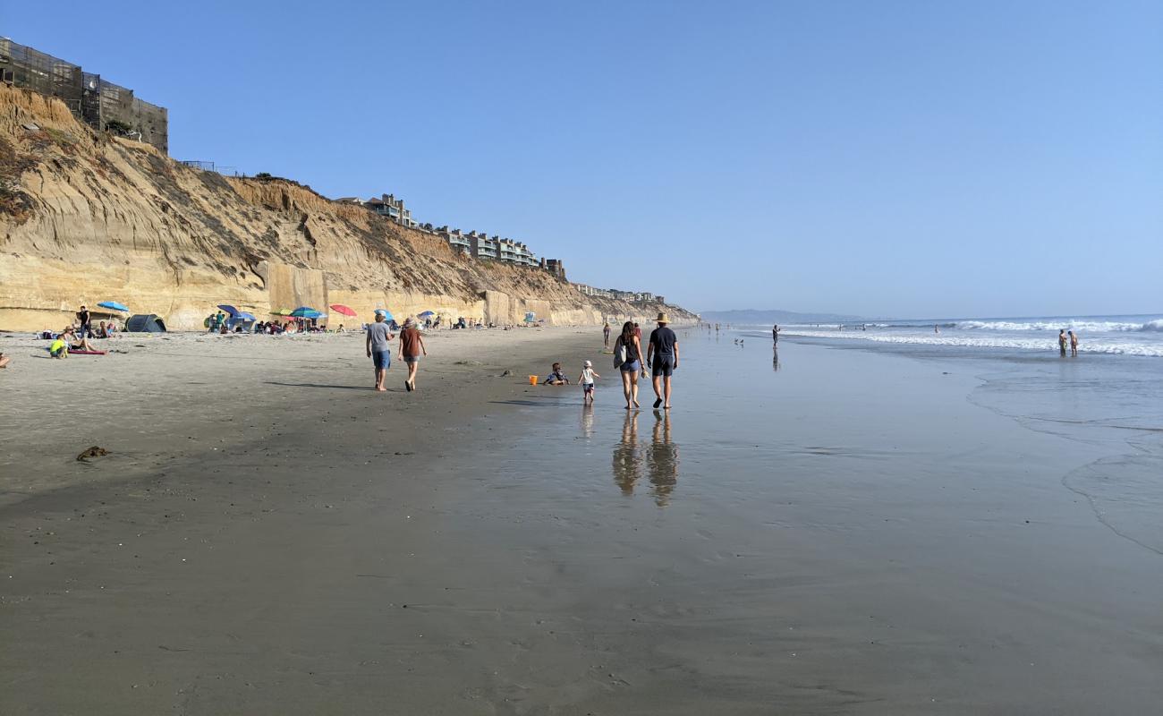 Fletcher Cove beach'in fotoğrafı açık bej kum yüzey ile