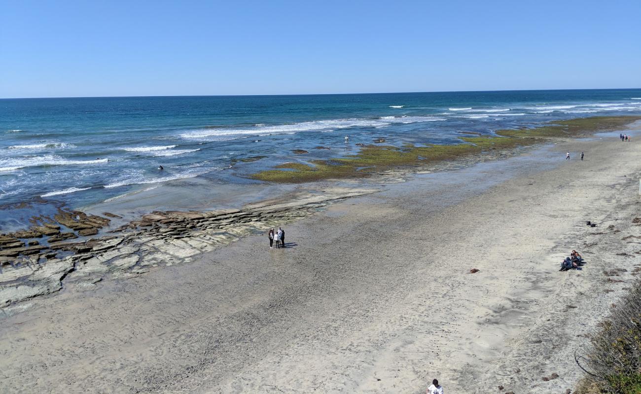 San Elijo beach'in fotoğrafı parlak kum ve kayalar yüzey ile