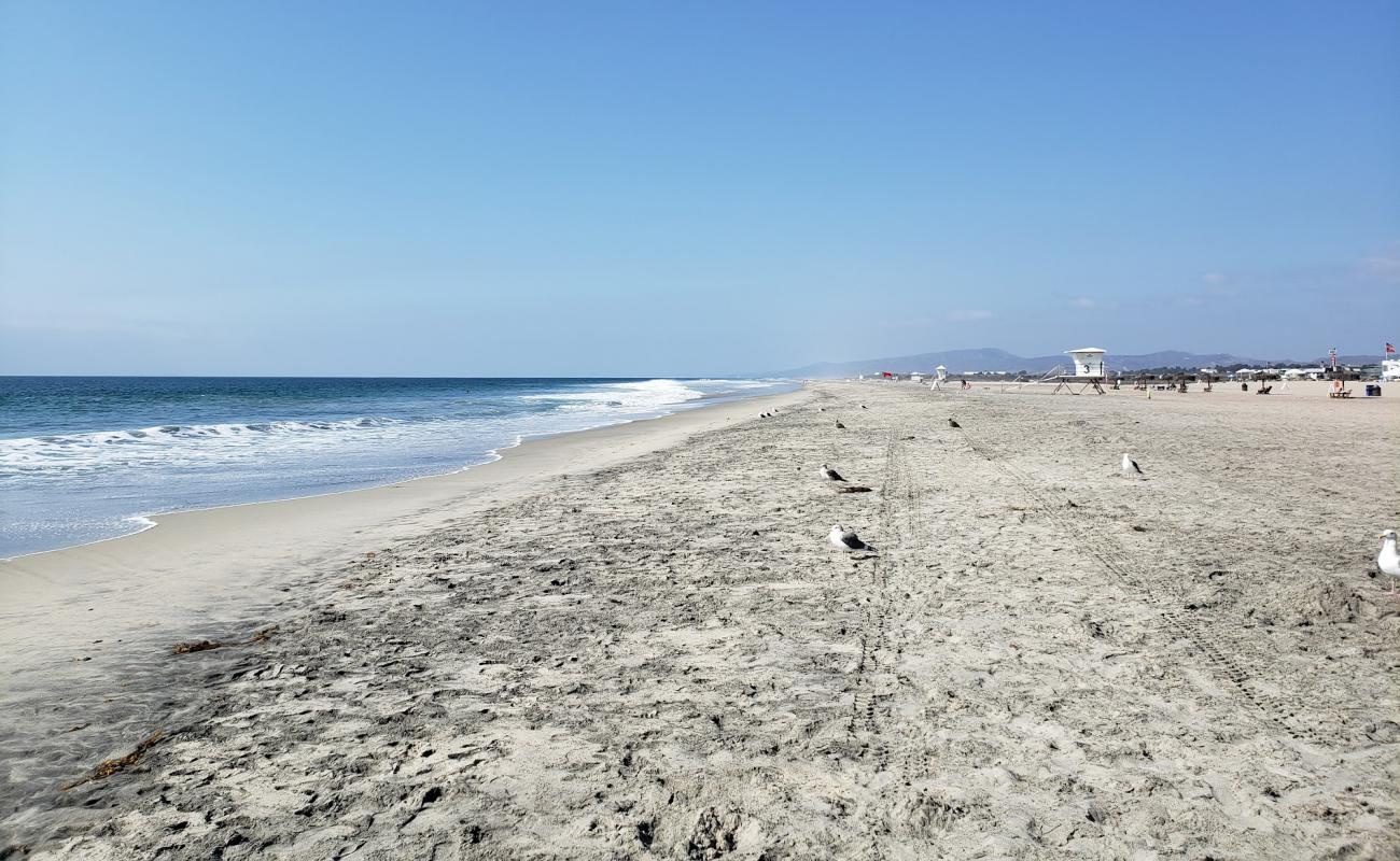 Del Mar beach'in fotoğrafı parlak kum yüzey ile