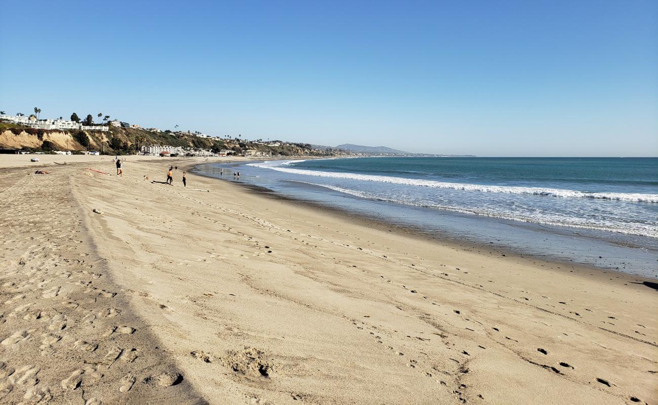 Doheny beach'in fotoğrafı parlak kum yüzey ile