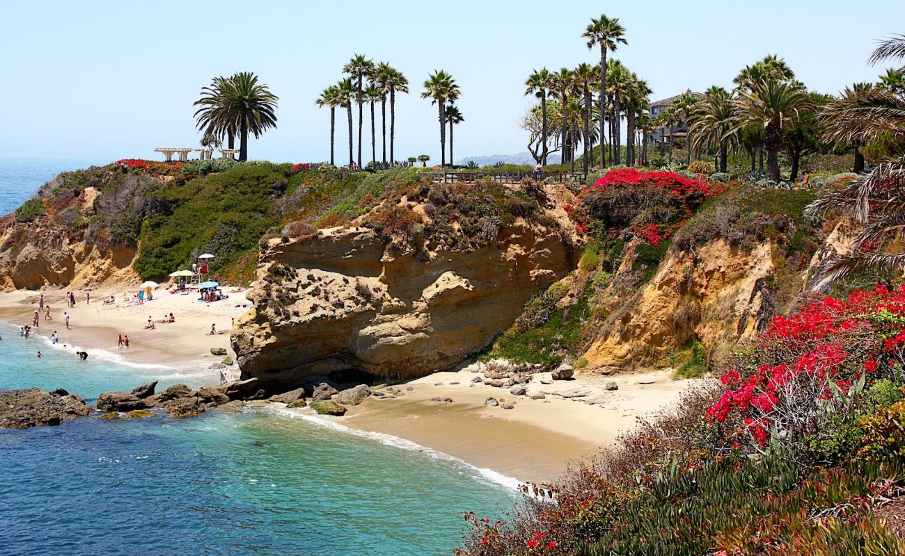 Treasure Island beach'in fotoğrafı parlak kum yüzey ile