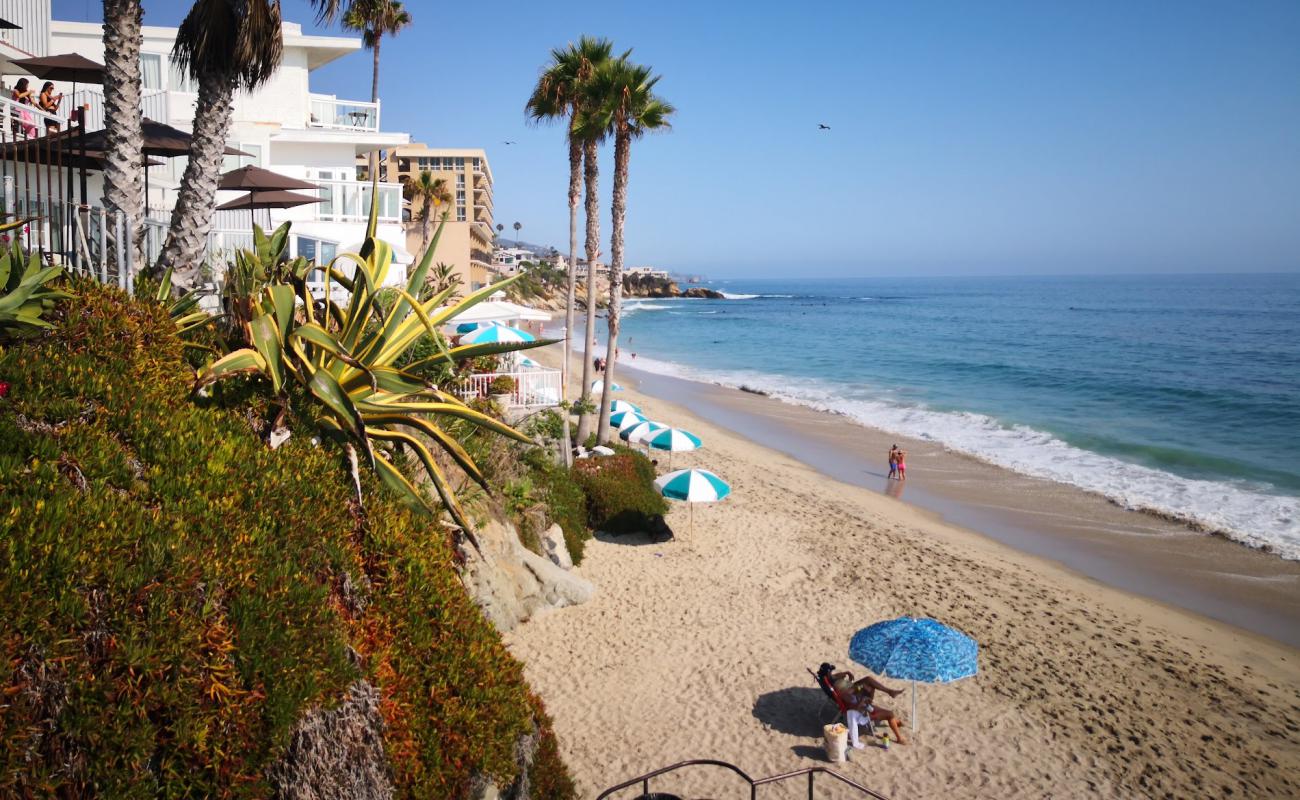 Bluebird beach'in fotoğrafı parlak kum yüzey ile