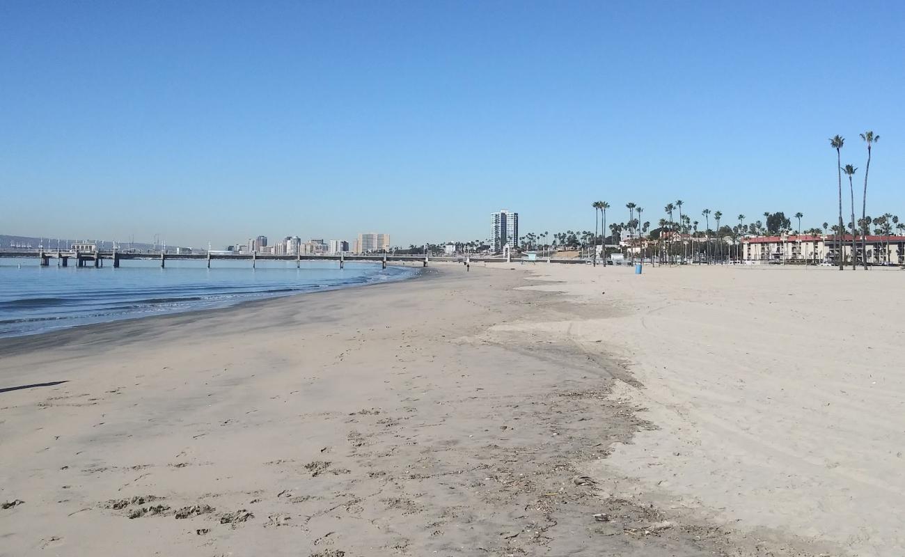 Belmont Beach'in fotoğrafı parlak kum yüzey ile