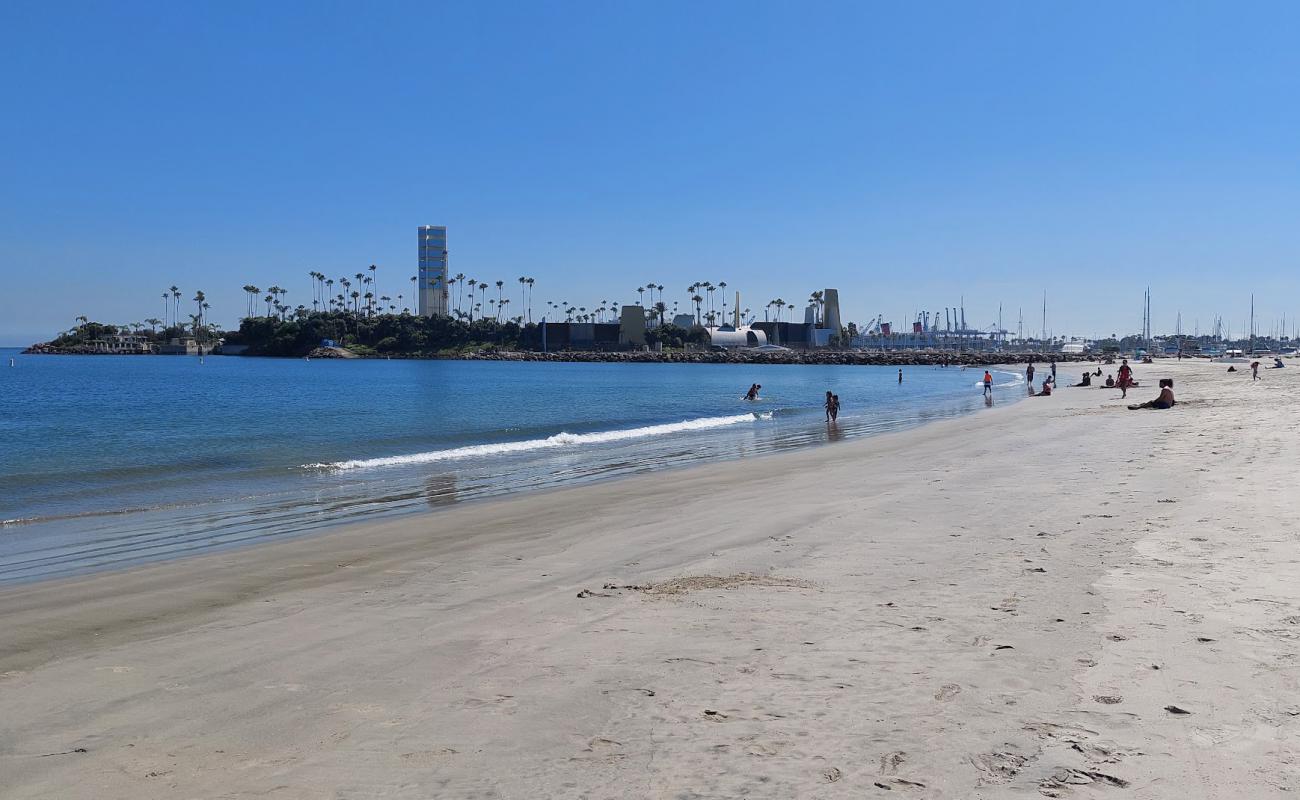 Alamitos Beach'in fotoğrafı parlak kum yüzey ile