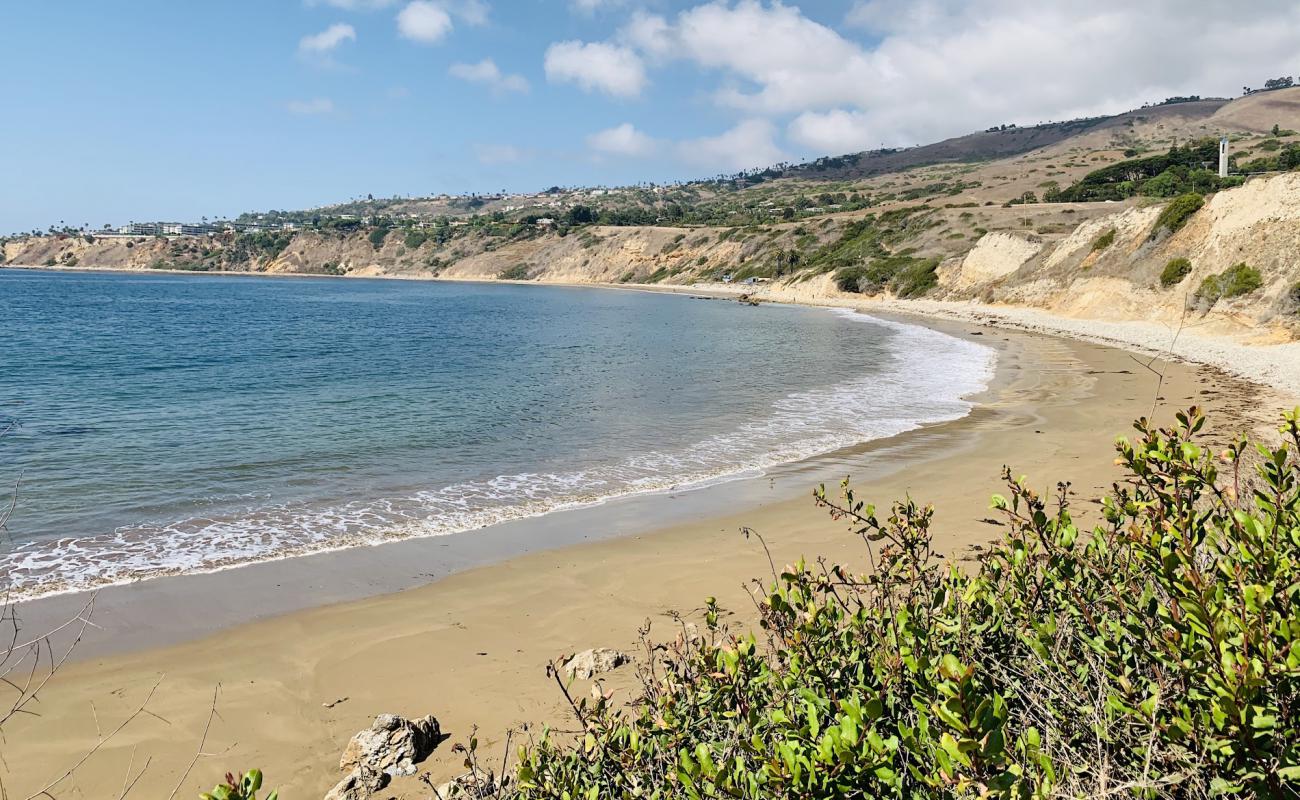 Abalone Cove Beach'in fotoğrafı çakıl ile kum yüzey ile