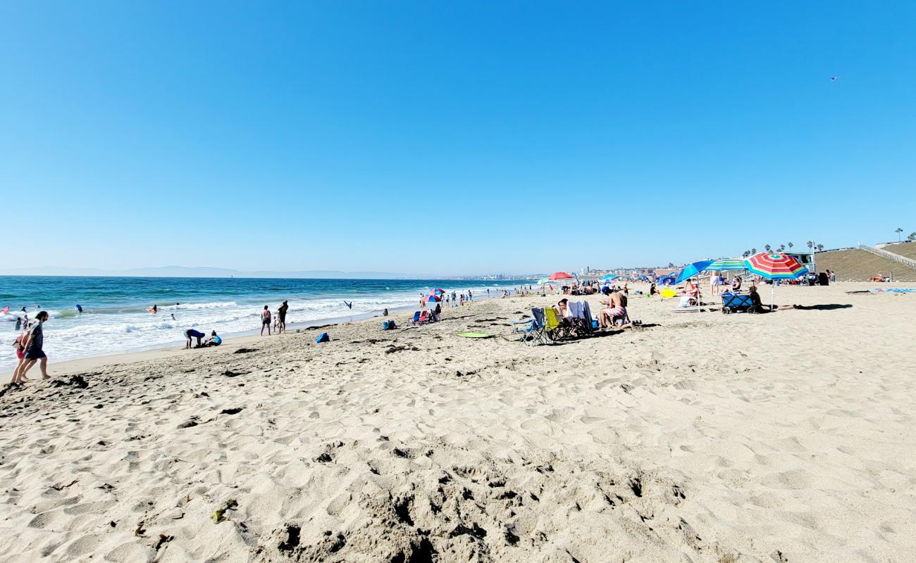 Torrance County Beach'in fotoğrafı parlak kum yüzey ile