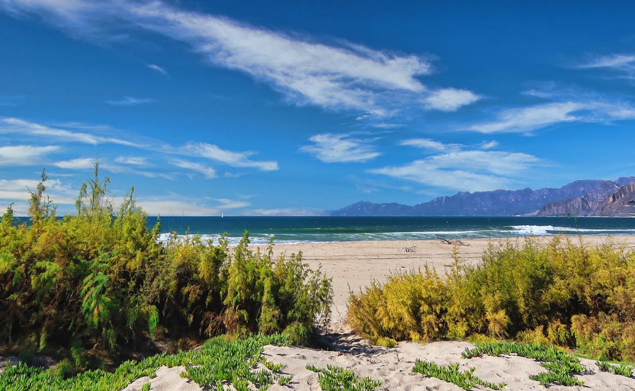 Mcgrath Beach'in fotoğrafı parlak kum yüzey ile