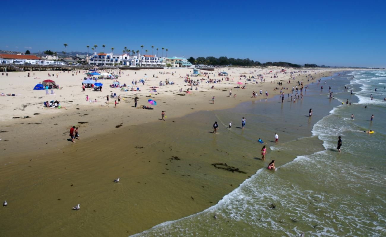 Pismo Beach'in fotoğrafı açık bej kum yüzey ile