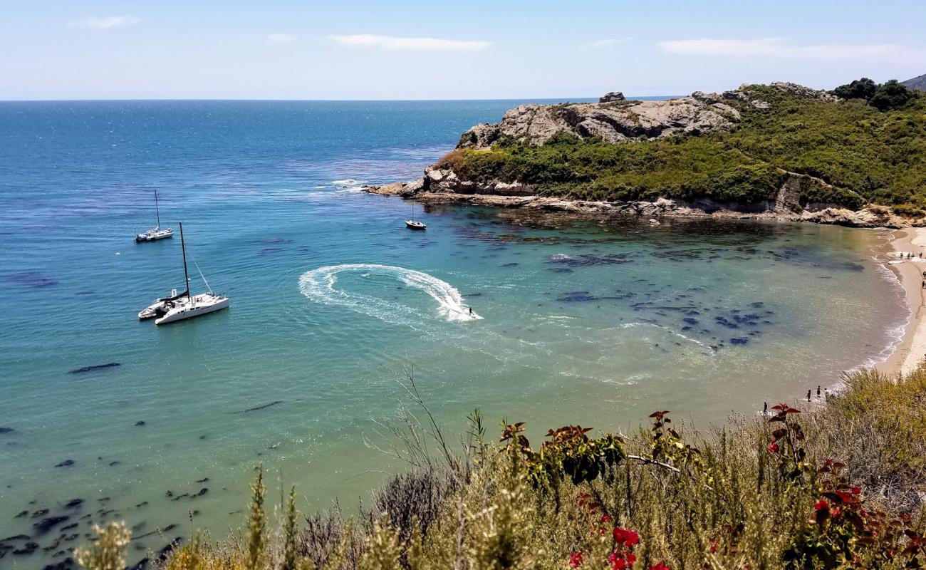 Pirates Cove Beach'in fotoğrafı parlak kum ve kayalar yüzey ile