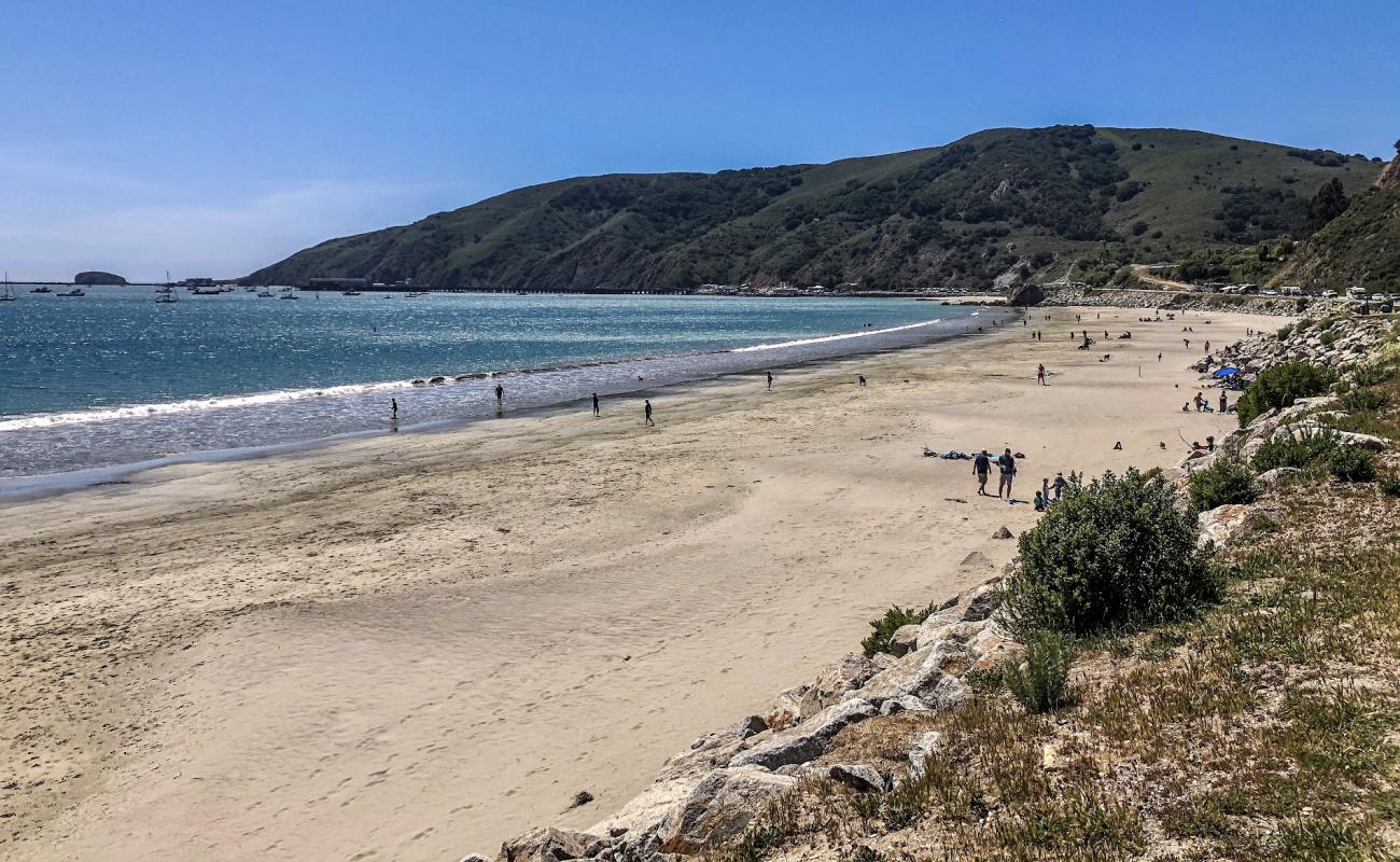 Olde Port Beach'in fotoğrafı parlak kum yüzey ile