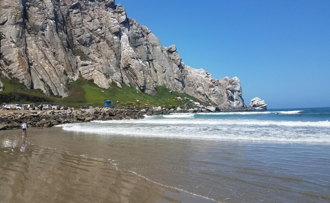 Morro Rock Beach'in fotoğrafı parlak ince kum yüzey ile