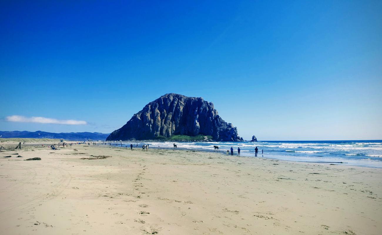 Morro Bay Beach'in fotoğrafı parlak kum yüzey ile