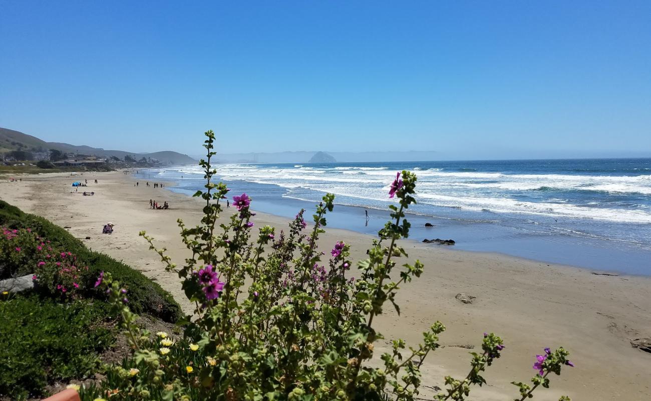 Morro Strand Beach'in fotoğrafı - rahatlamayı sevenler arasında popüler bir yer