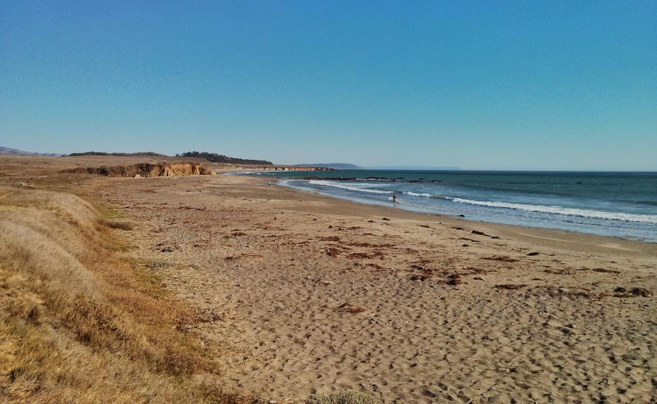 Arroyo Laguna Beach'in fotoğrafı gri kum yüzey ile