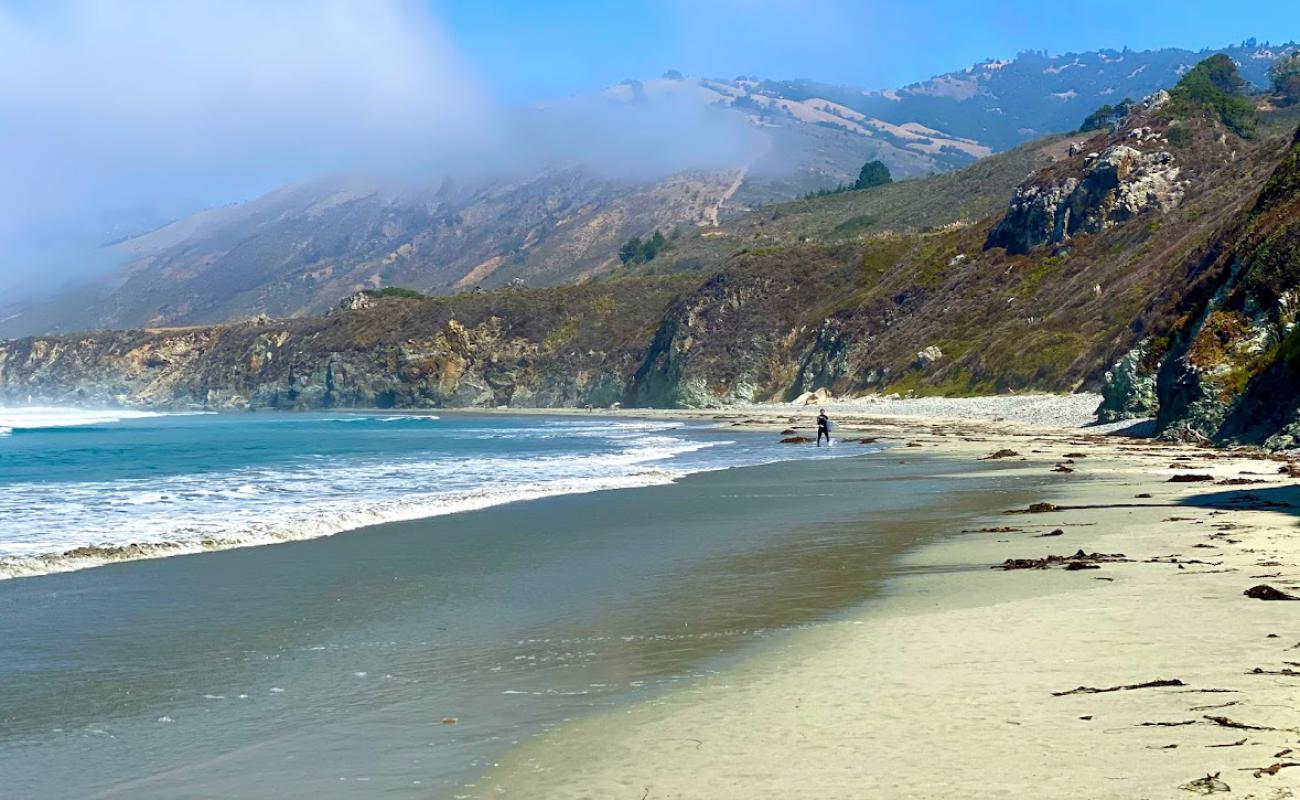 Sand Dollar Beach'in fotoğrafı parlak kum yüzey ile