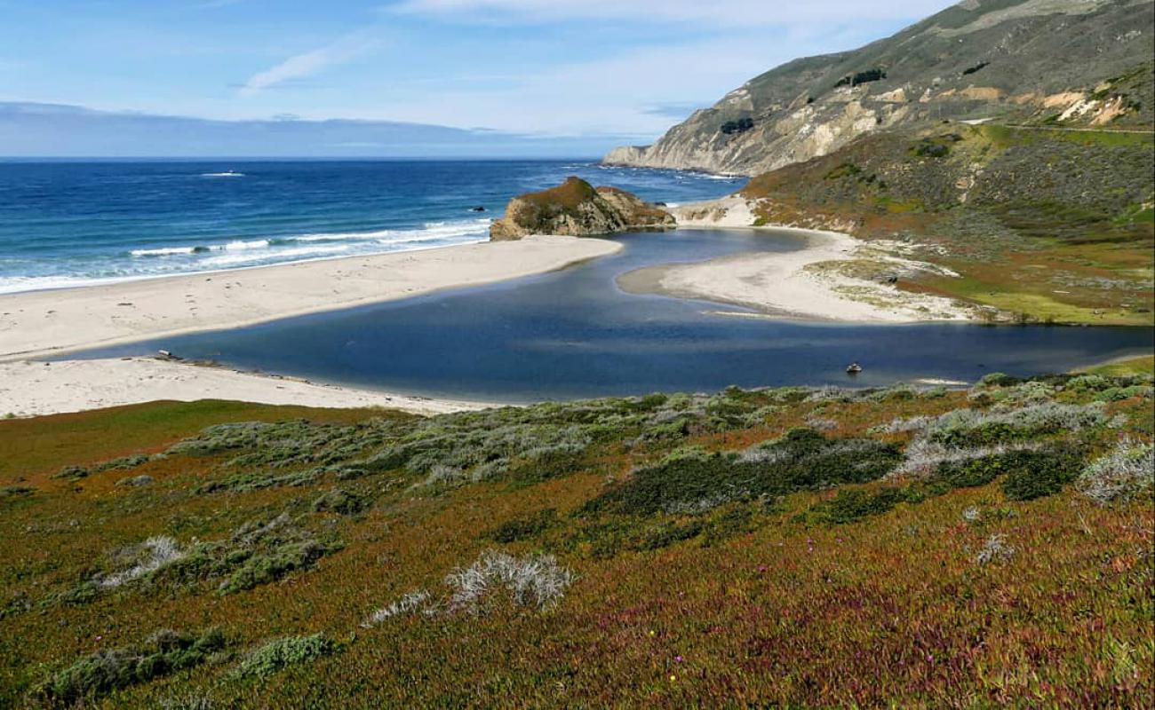 Little Sur River Beach'in fotoğrafı parlak kum yüzey ile