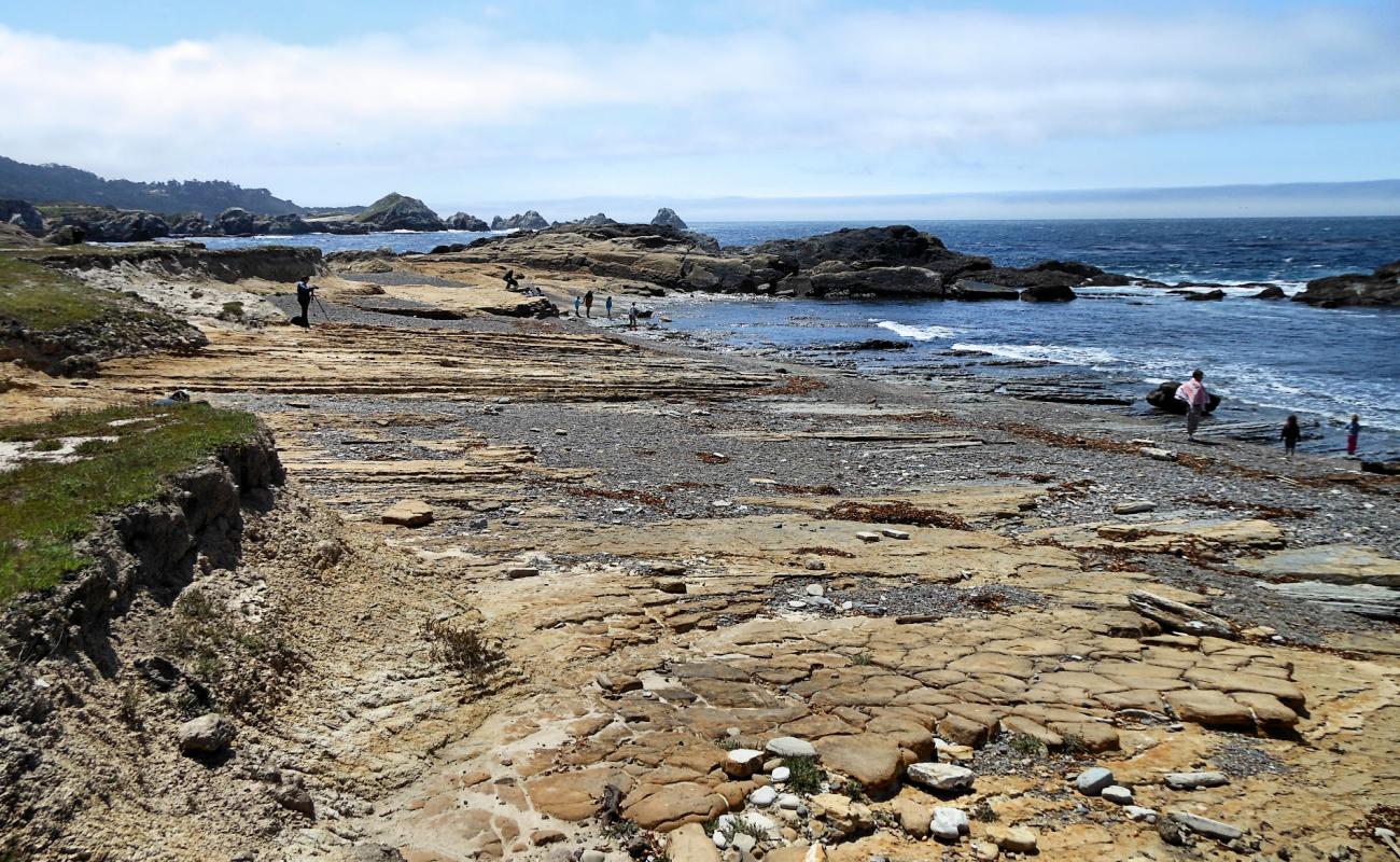 Weston Beach Point'in fotoğrafı taşlı kum yüzey ile