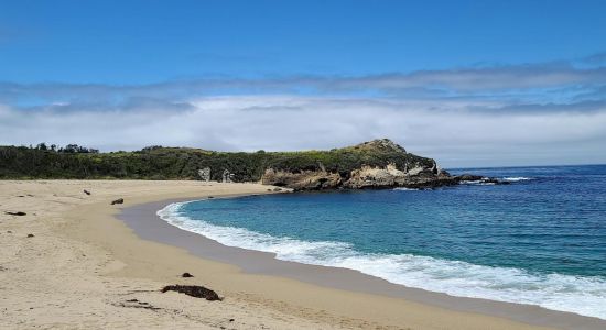 Monastery Beach