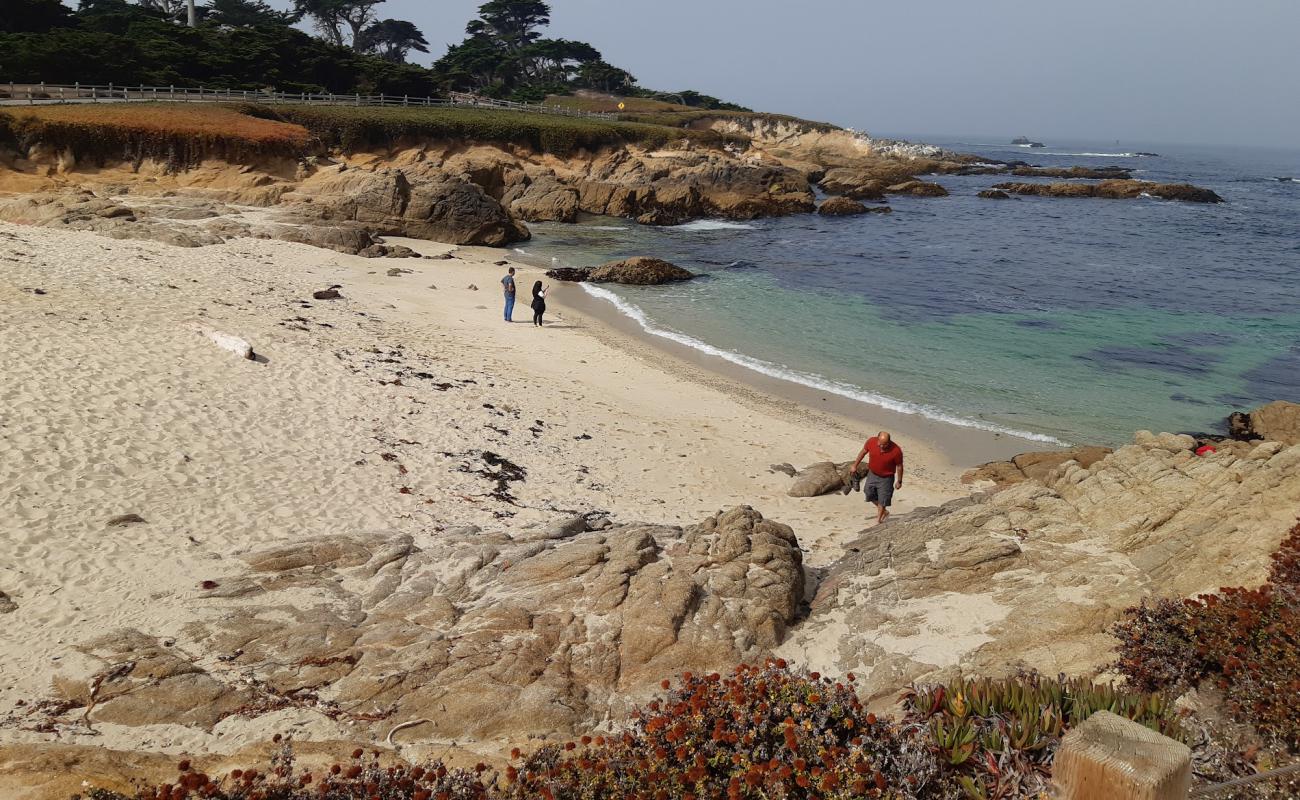 Fanshell Beach II'in fotoğrafı parlak kum yüzey ile