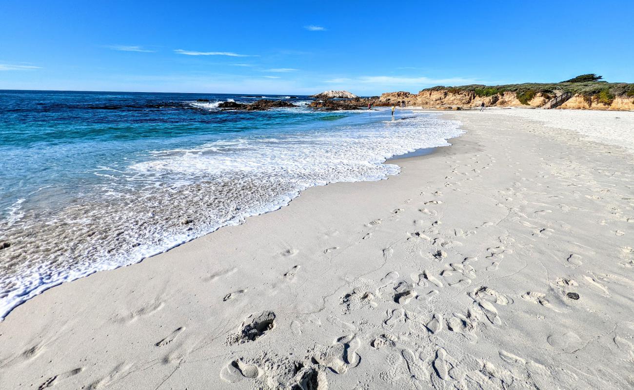 Seal Rock Beach'in fotoğrafı beyaz kum yüzey ile