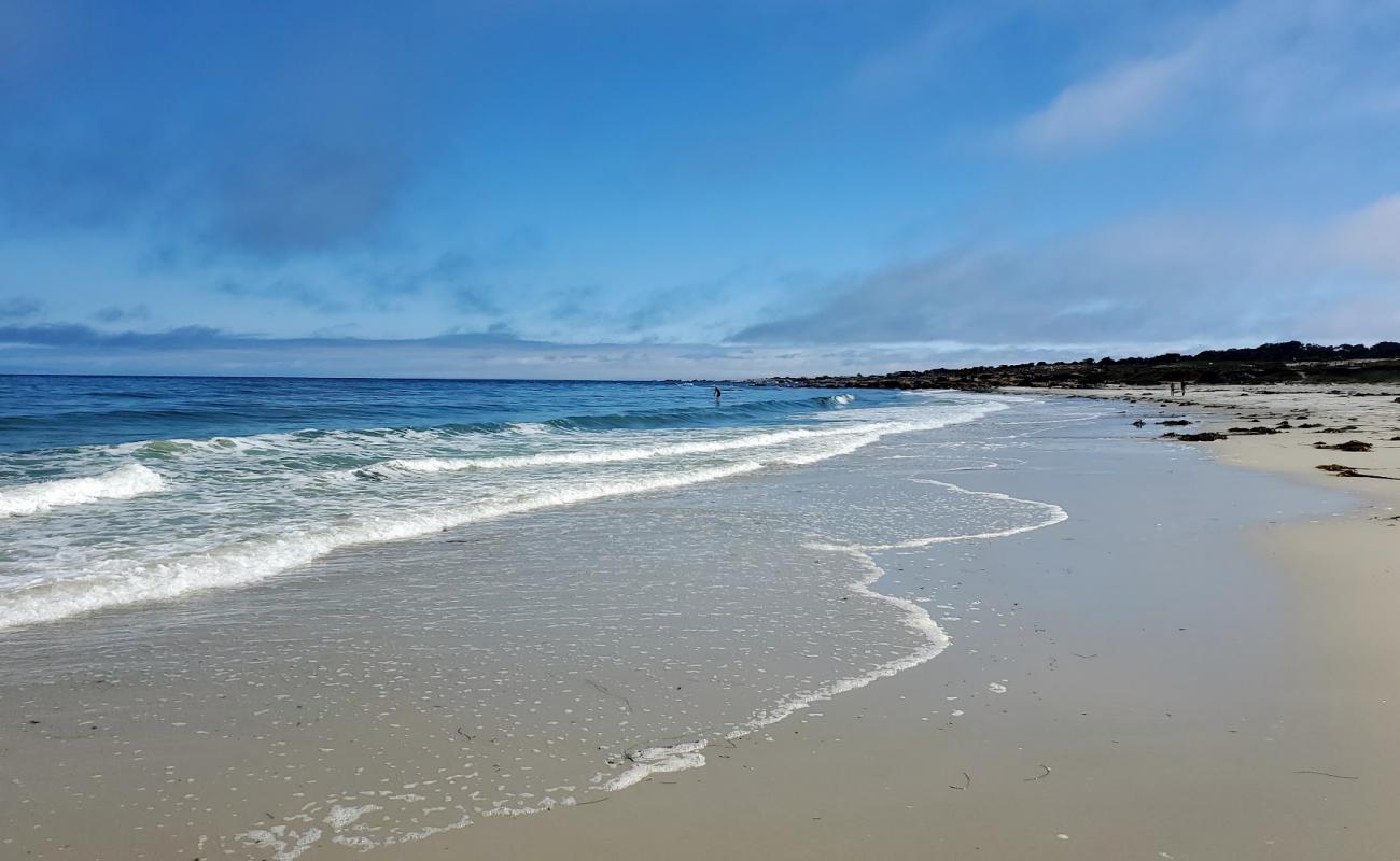 Moss Beach'in fotoğrafı parlak kum yüzey ile