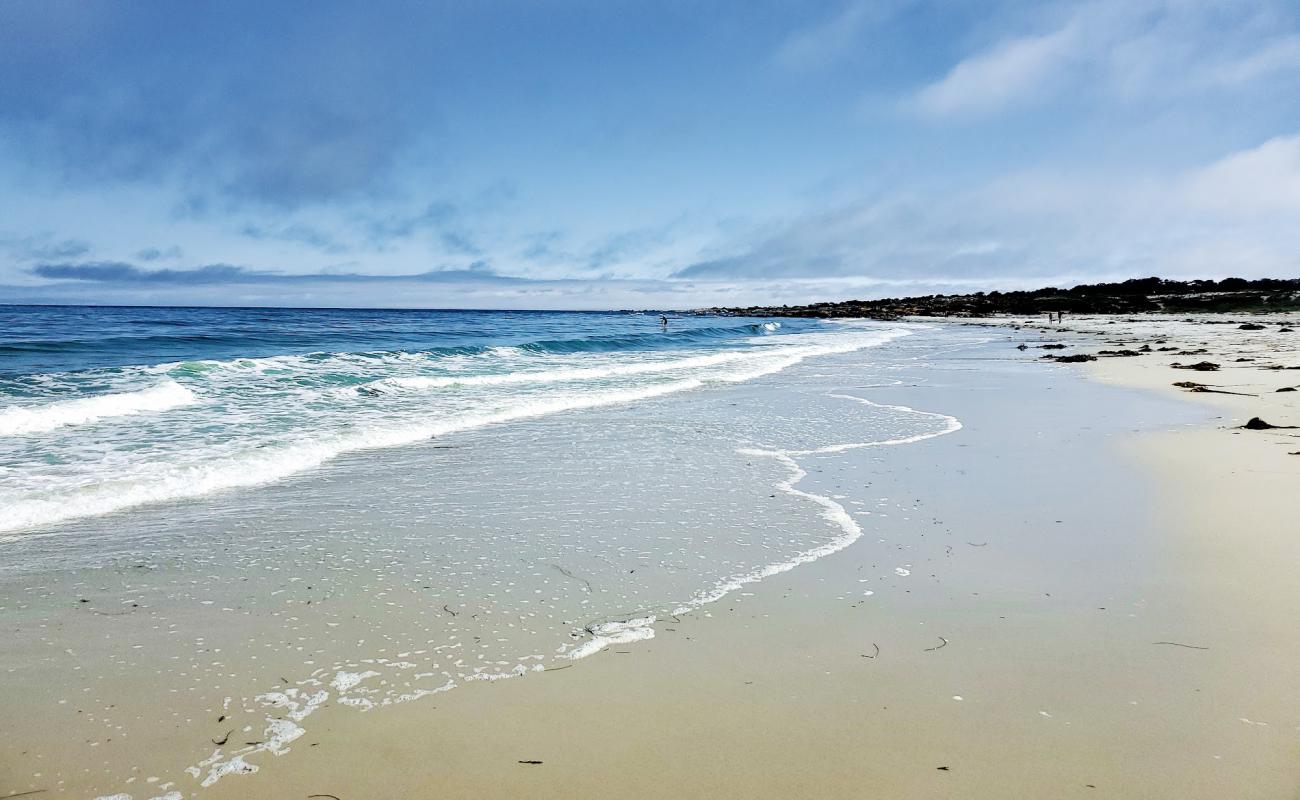 Asilomar Beach'in fotoğrafı parlak kum yüzey ile