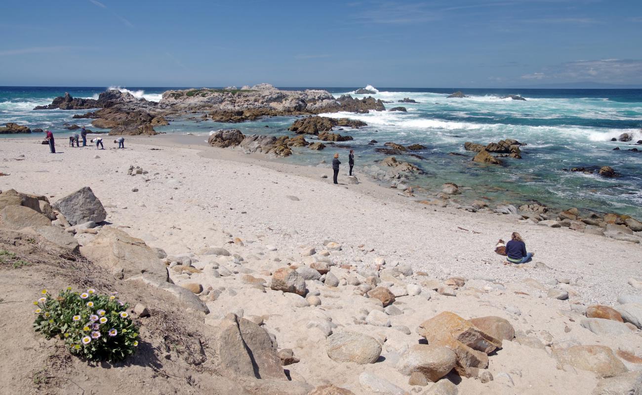 Point Pinos beach'in fotoğrafı parlak kum ve kayalar yüzey ile