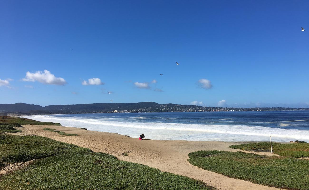 Sand City Beach'in fotoğrafı parlak kum yüzey ile